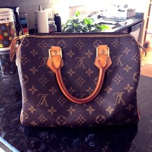 Louis Vuitton Speedy 25 Monogram Handbag